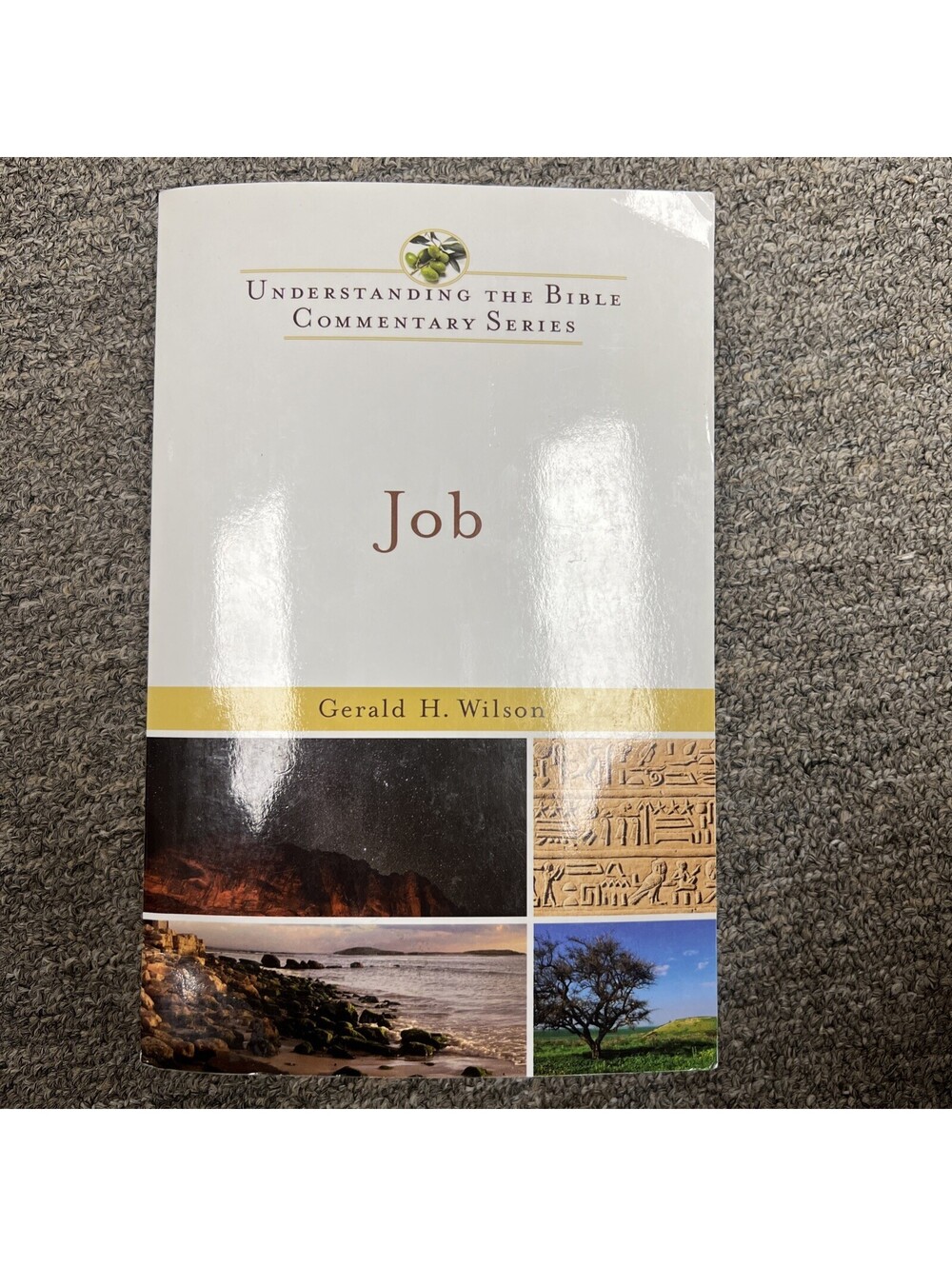 JOB (UNDERSTANDING THE BIBLE COMMENTARY SERIES) By Gerald H. Wilson *BRAND NEW*